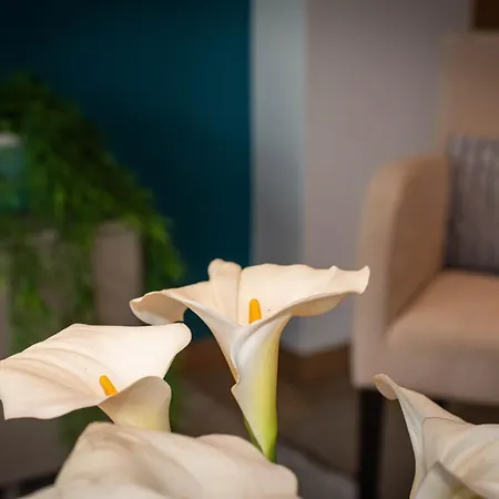 Apartment 1 Bed Boutique-style