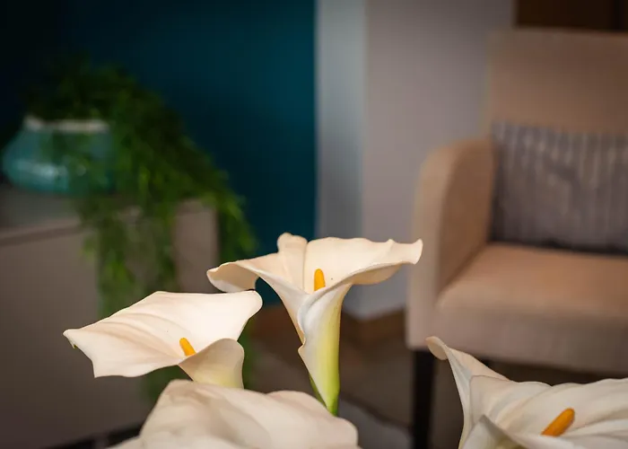 アパート 1 Bed Boutique-style