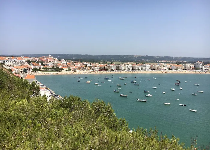 アパート 1 Bed Boutique-style サン・マルティーニョ・ド・ポルト